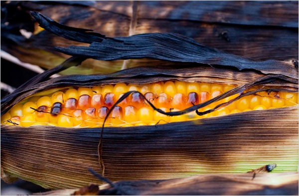 Grilled corn on the cob with chipotle mayonnaise