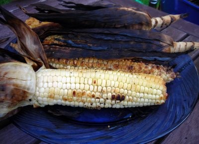 Grilled corn on the cob
