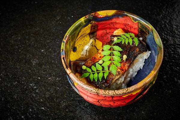 Grilled eel with rice (Unagi gohan)