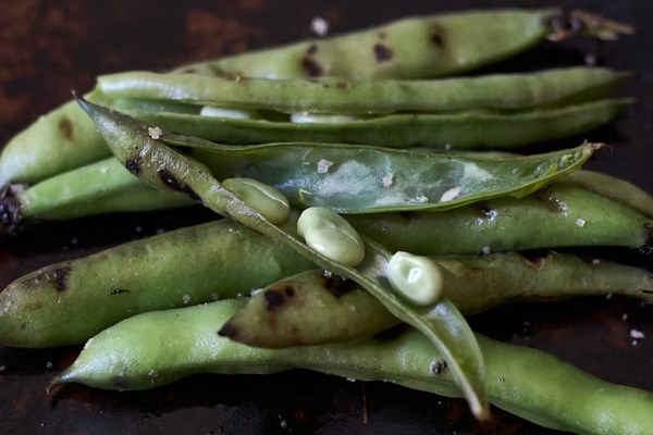 Grilled fava beans