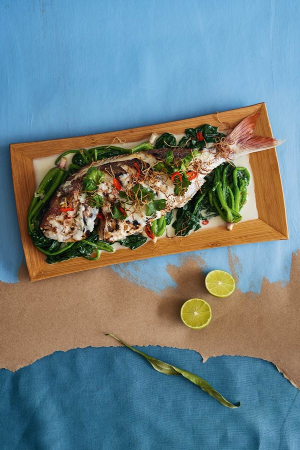 Grilled fish & spinach with coconut sauce