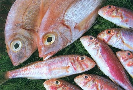 Grilled fish with dill yogurt (Izgara balik)