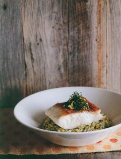 Grilled fish with gremolata risotto
