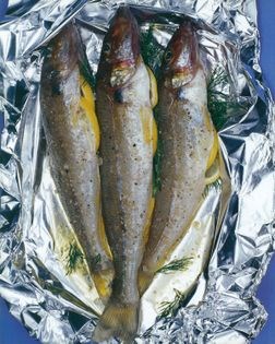 Grilled fish with harissa dressing