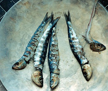 Grilled fresh sardines with fennel and preserved lemon