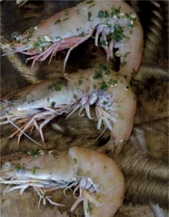 Grilled garlic prawns (Gambas a la plancha)