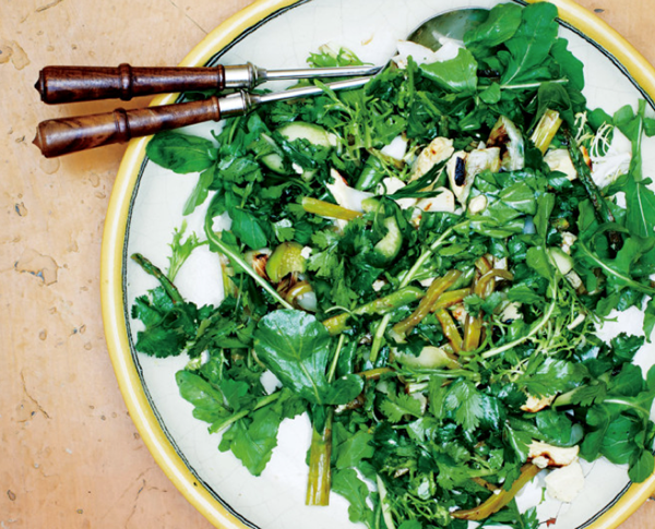Grilled green salad with coffee vinaigrette
