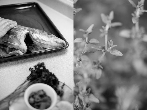Grilled haddock stuffed with lemon and herbs