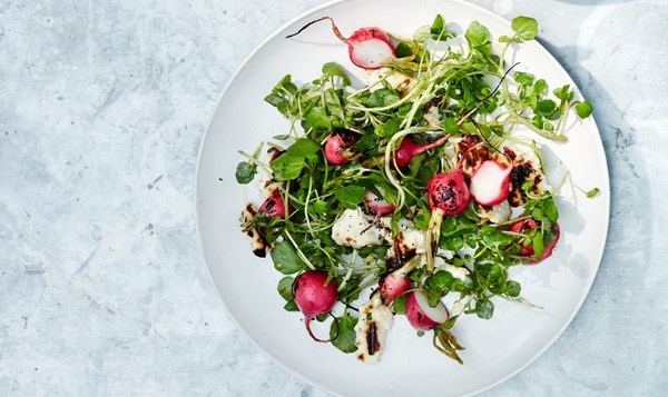 Grilled halloumi with watercress