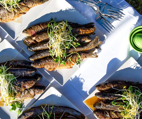 Grilled herb-stuffed trout
