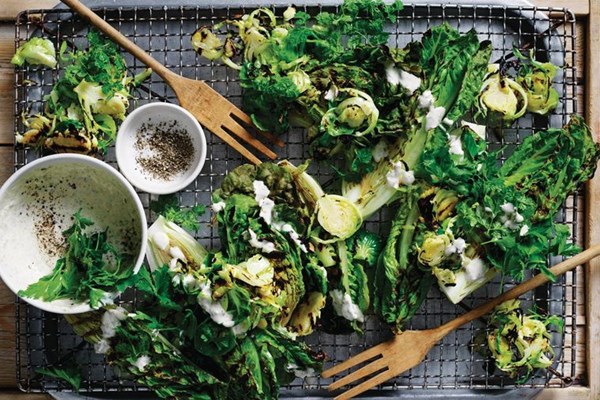 Grilled lettuce and sprouts with caper Caesar dressing