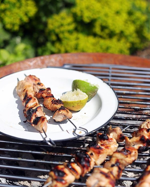 Grilled lime and honey chicken skewers