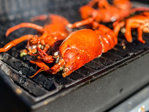 Grilled lobster with lemon-shallot butter