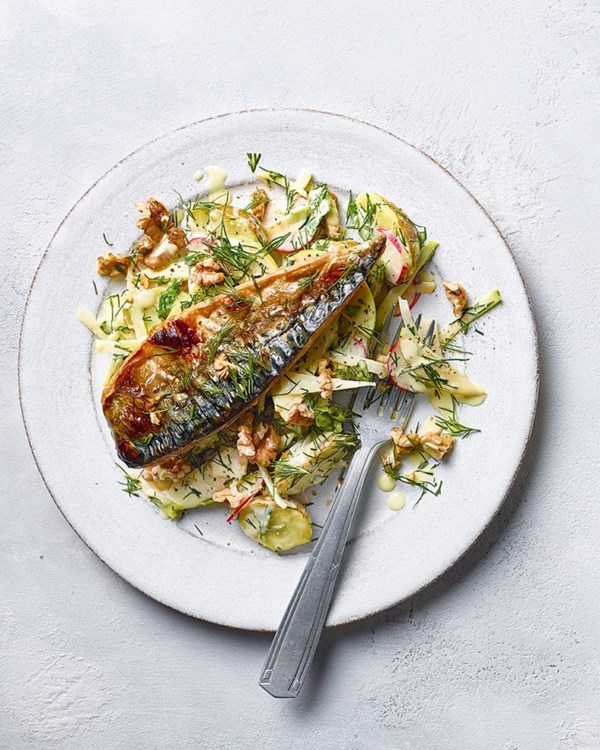 Grilled mackerel, green apple, walnut and radish 