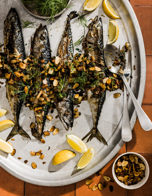 Grilled mackerel with fennel agrodolce