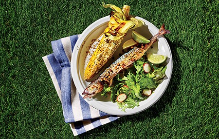 Grilled mackerel with green peppercorn sauce