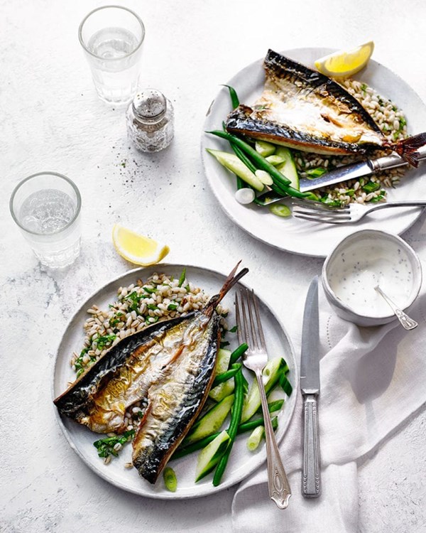Grilled mackerel with herb yogurt and pearl barley 