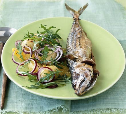 Grilled mackerel with orange salad