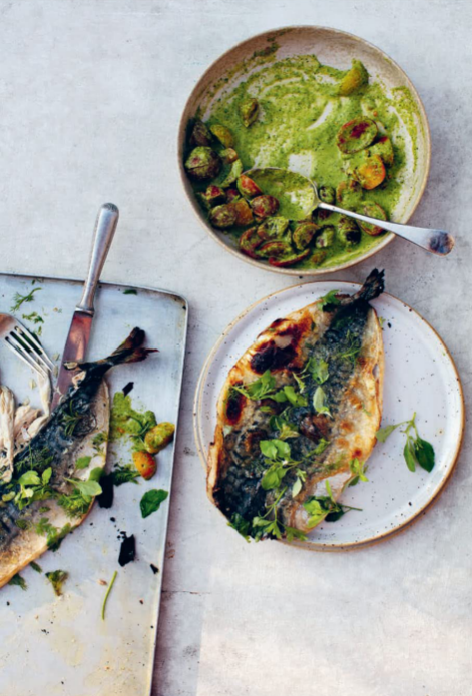Grilled mackerel with parsley salsa
