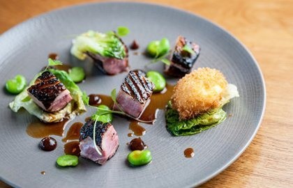 Grilled mallard with baby gem lettuce, crispy yolk and soy gel
