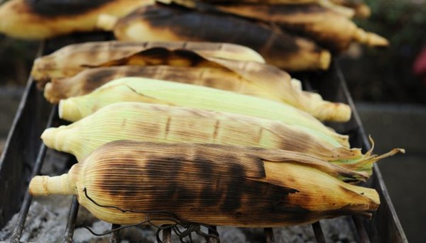 Grilled marjoram-scented corn