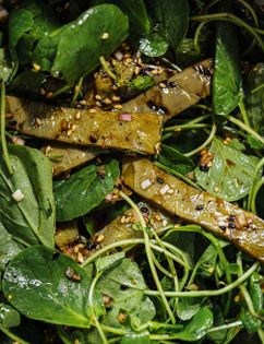 Grilled nopalito sesame salad