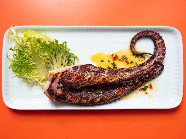 Grilled octopus with chili-herb oil 
