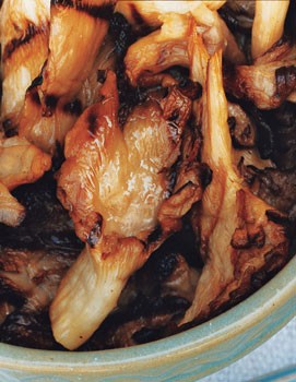 Grilled oyster mushrooms (Funghi alla griglia)