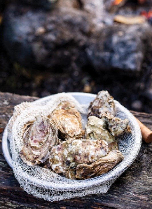 Grilled oysters with miso seaweed butter