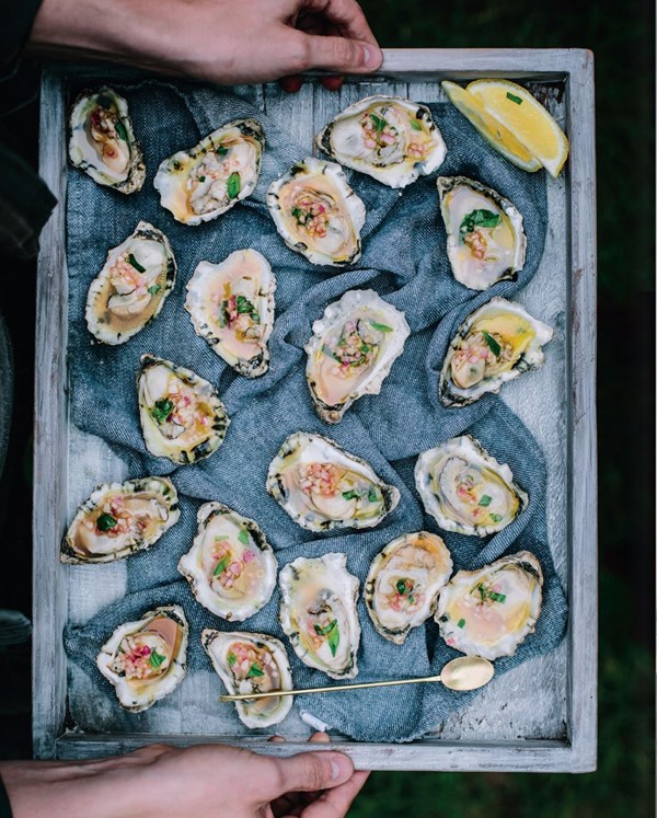 Grilled oysters with shallot and sherry vinegar mignonette