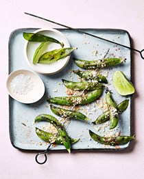 Martha Stewart Living Magazine, June 2017 | Eat Your Books