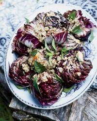 Grilled radicchio with lemon-hazelnut dressing