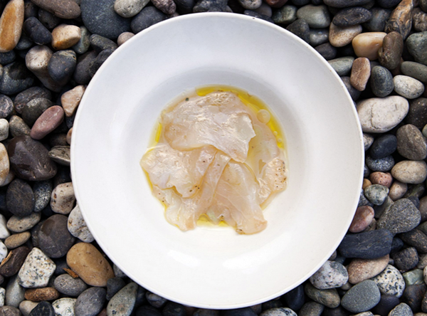 Grilled rockfish