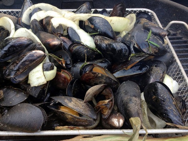 Grilled rosemary mussels with rosemary-malt vinegar dipping sauce