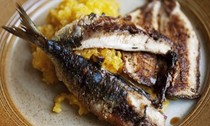 Grilled sardines, beetroot and horseradish mash