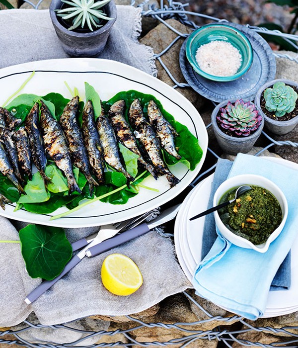 Grilled sardines with nasturtiums and rosemary tarator