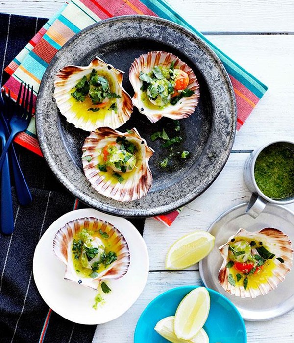 Grilled scallops in the shell