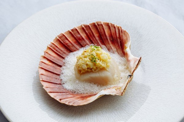  Grilled scallops with cauliflower, ginger, yuzu and lemongrass