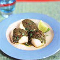 Grilled scallops with pumpkin seed, chilli and coriander sauce