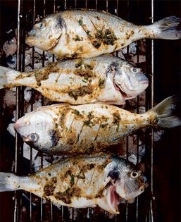 Grilled sea bream with chermoula