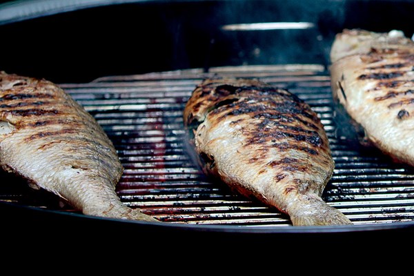 Grilled sea bream with potatoes and anchovy butter (Mormore alle erbe con burro aromatico)