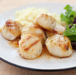 Grilled sea scallops