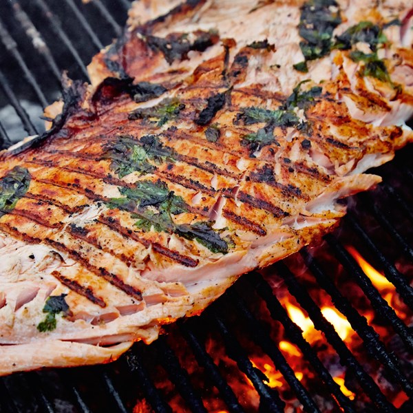 Grilled slab of salmon