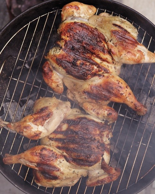 Grilled spatchcocked chicken