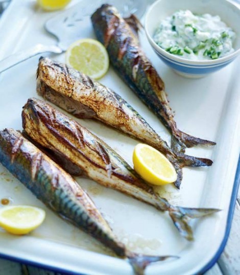 Grilled spiced mackerel with creamy cucumbers