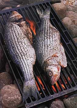 Grilled striped bass