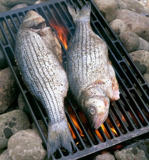 Grilled striped bass with cucumber and clementine salsa