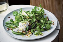 Grilled sugar snap peas with stracciatella and lemon