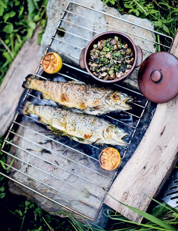Grilled trout