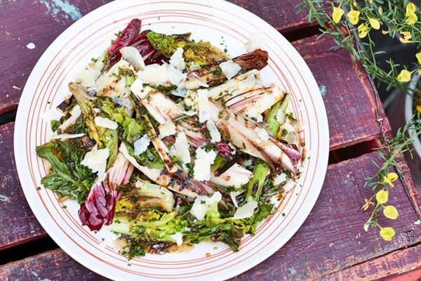 Grilled witlof salad